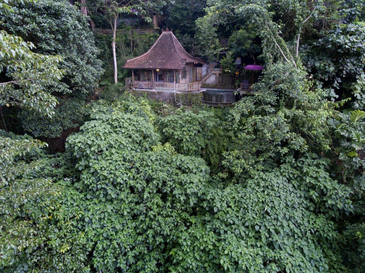 אובוד Villa Awang Awang מראה חיצוני תמונה